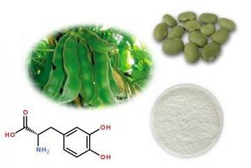 Levodopa powder bulk