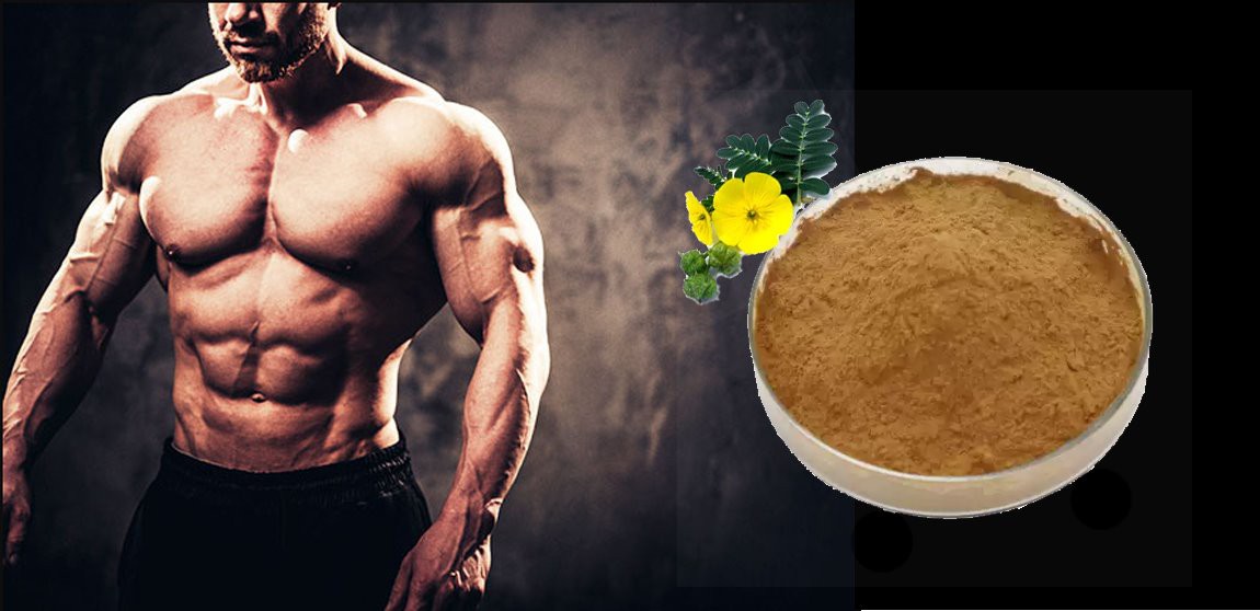 Tribulus terrestris extract 5