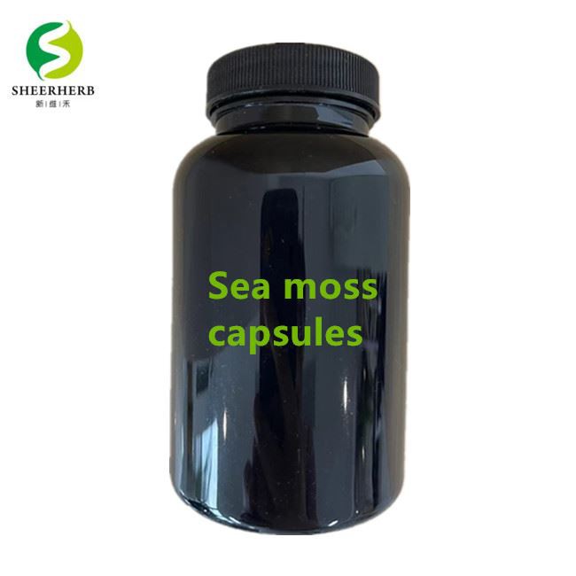 Súkromná značka Oem Bladderwrack Sea Moss Capsules